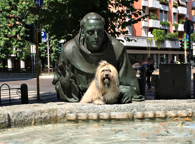 St Francis statue in Milan with Rocco