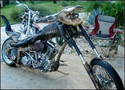 Alligator-Bike-croc_bike_01