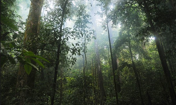 gunung-lawu-angker