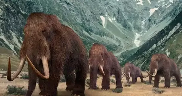 Ice Age Park: Επιστήμονες επιχειρούν να φέρουν στη ζωή μαμούθ