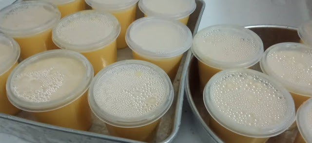 Jualan Puding Mangga