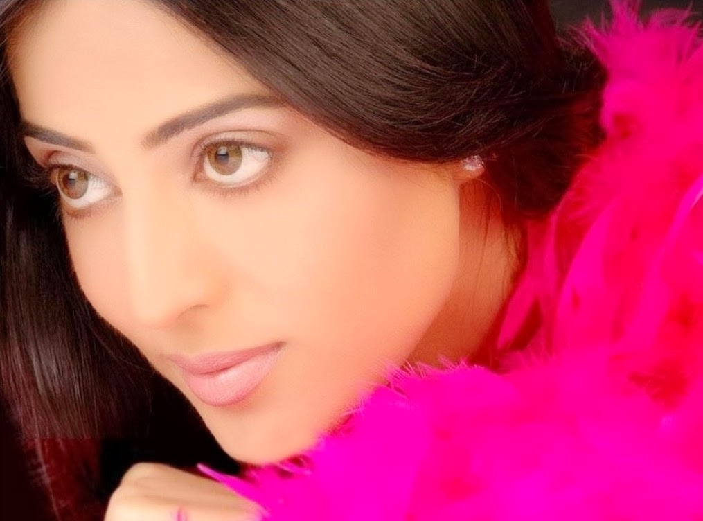 Mahi Gill HD Wallpapers Free Download