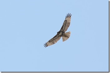 IMG_2077 IMG_2077
