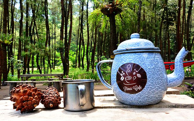 Pinus Cafe, kedai kopi di tengah hutan pinus