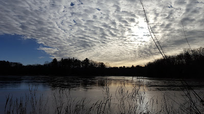 The northern pond at DelCarte in winter