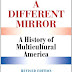 Voir la critique A Different Mirror (English Edition) Livre