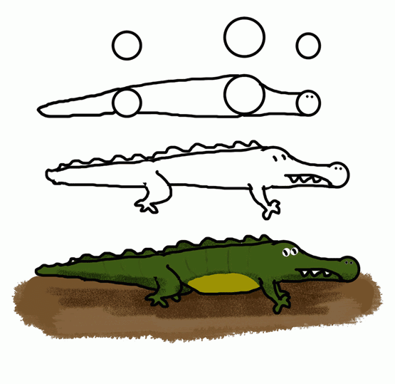 How do you draw a crocodile - KidzTalk