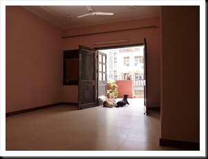 P1020951