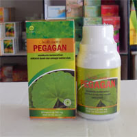 jual pegagan toga nusantara obat vertigo dan nutrisi otak