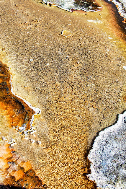 Black Sand Basin Gold and Orange Runoff Yellowstone National Park