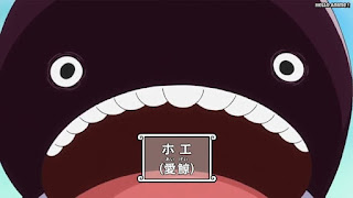 ワンピースアニメ 魚人島編 530話 ホエ | ONE PIECE Episode 530