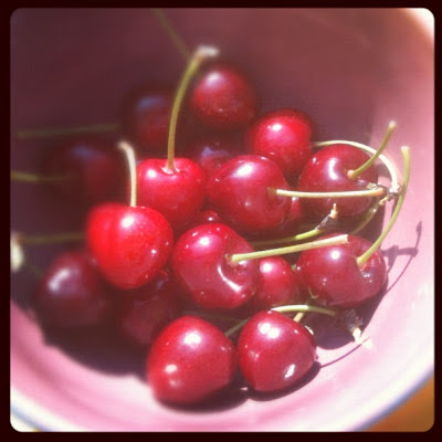 Cerises du jardin 