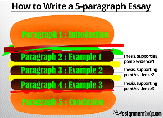 samples scientific How to write a paragraph essay /