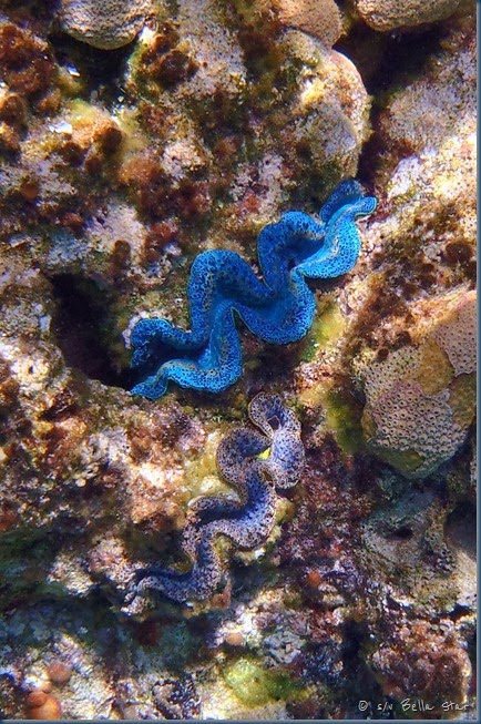 PB020815