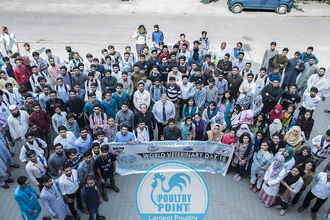 UVAS observed World Veterinary Day in befitting manner