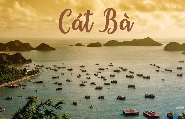 đảo cát bà