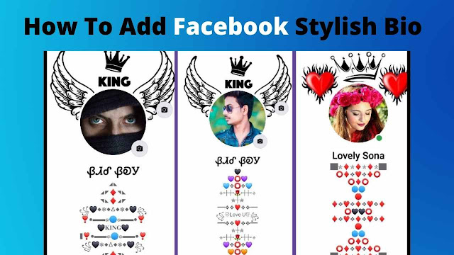 Facebook Stylish Bio 2022