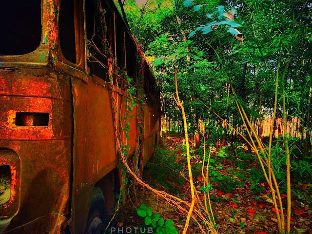 Nature pictures