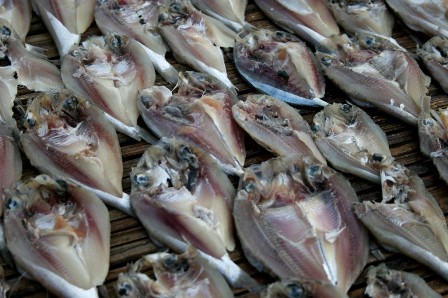 IKAN ASIN TAWAR BAROKAH Membuat Ikan Asin IKAN ASIN TAWAR BAROKAH Membuat Ikan Asin
