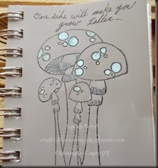 DSCN1575v2
