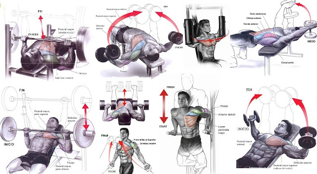 How To Build Chest Muscles Fast