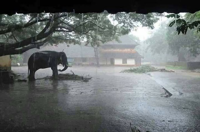 *ഇന്ന് എല്ലാ ജില്ലകളിലും മഴ സാധ്യത.*