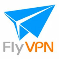 安全VPN FlyVPN 