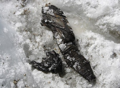 World war I soldier frozen into snow found