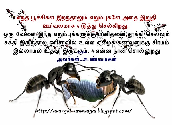 avargal unmaigal