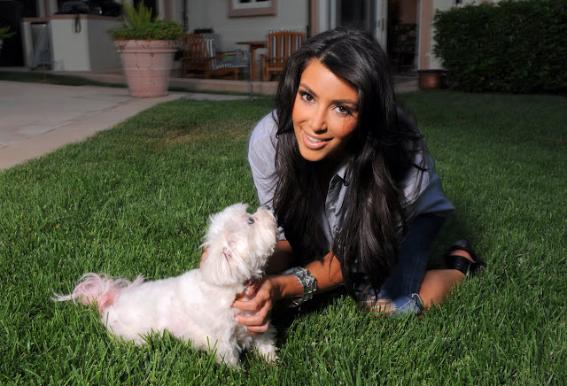 Kim Kardashian With Little Puppy Pictures