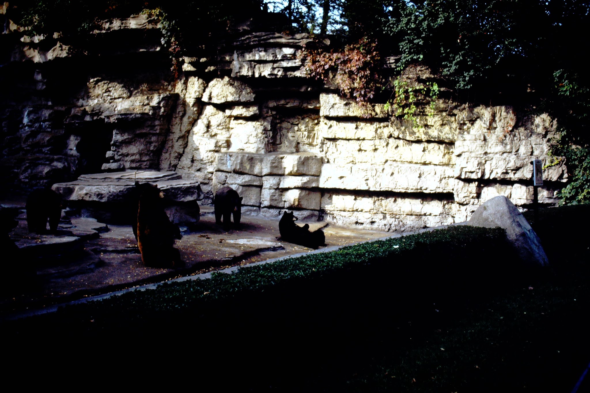 At The Zoo 1949