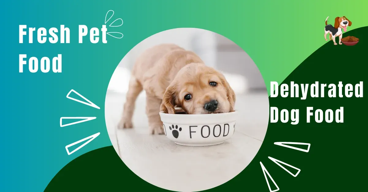 Pet Care, Dog Nutrition, Fresh Pet Food