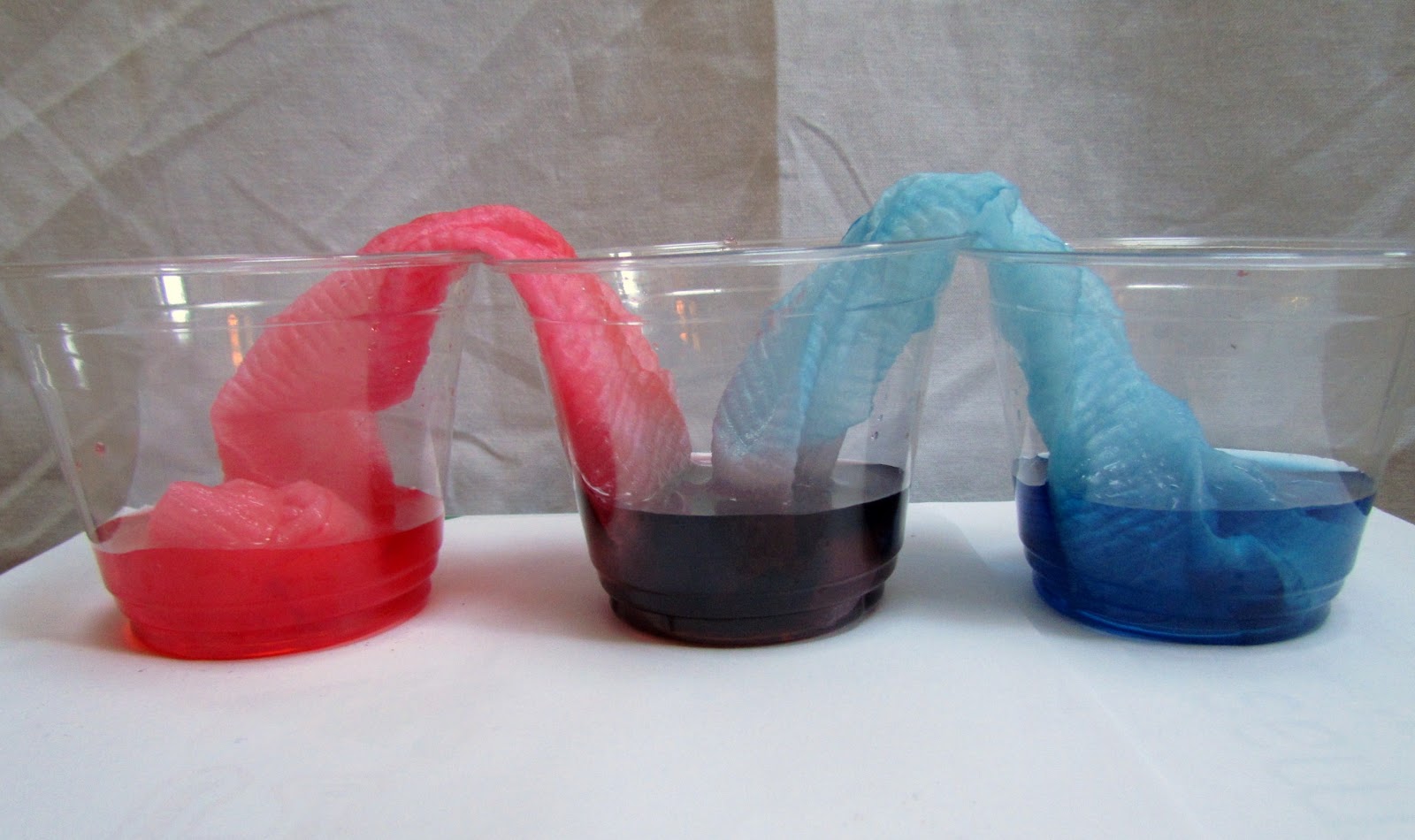 paper water experiment Towel Science Experiment Pipe Grow: Water To Paper Absorbing Learn