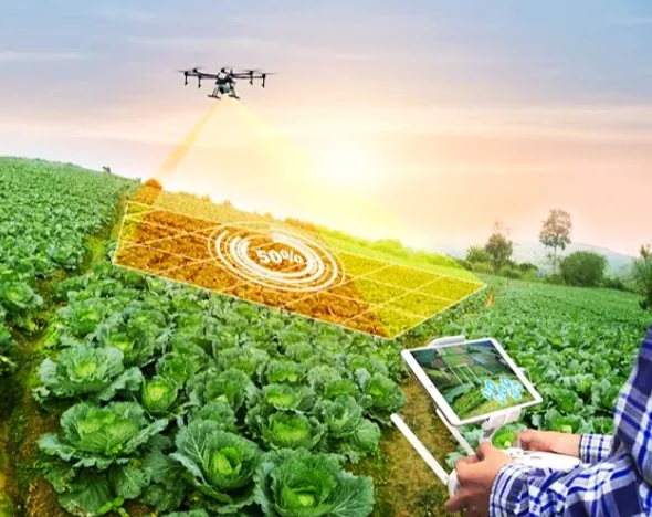 The Rise of the Agritech Industry in India