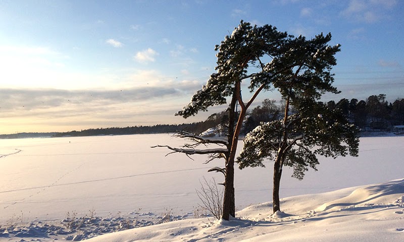 snötäckt huvudstad