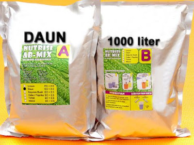 hidroponik sederhana