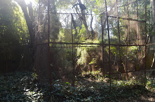 Carlos Vaz Ferreira.Quinta Vaz Ferreira. Jardín. Jaulas para pájaros.