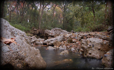 Barati Raw a water fall in corbett
