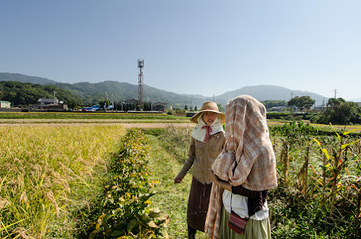 rice farmers discussing natural farming in rural japan