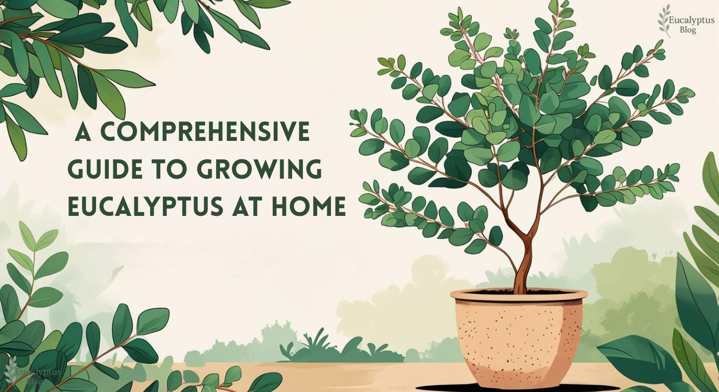 A Comprehensive Guide to Growing Eucalyptus at Home A Comprehensive Guide to Growing Eucalyptus at Home