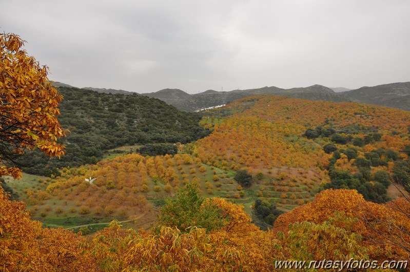 Igualeja - Parauta - Juzcar