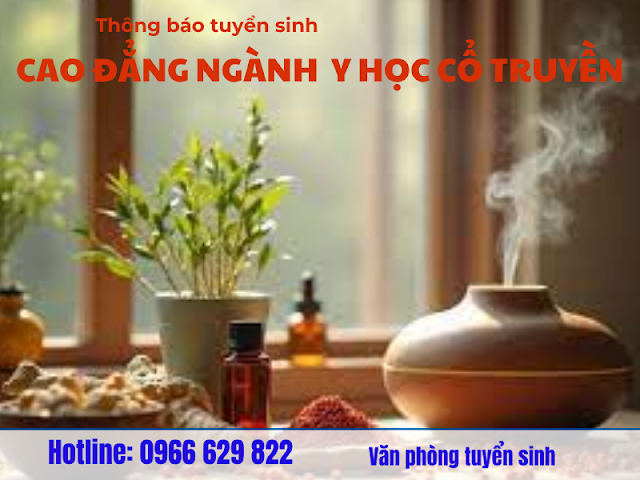 uyển sinh Cao đẳng Y học Cổ truyền – Học để chữa bệnh, vững tay nghề, rõ tương lai!