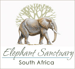 Elephant Sanctuary, The Crags em Plettenberg Bay