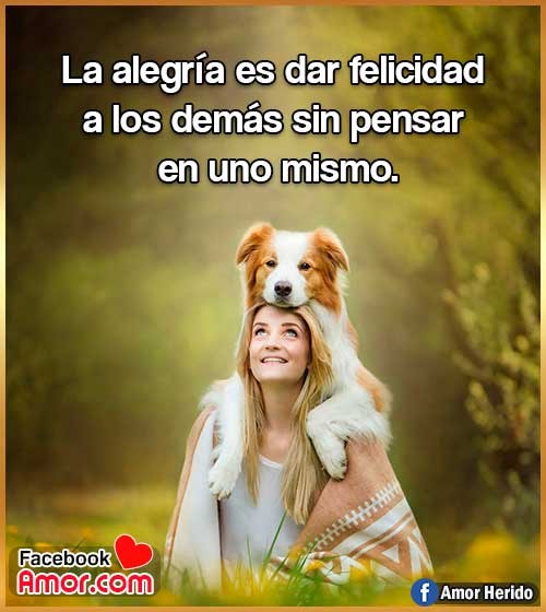 frases felicidad y alegría