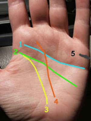 سر الخطوط الموجودة فى كف اليد