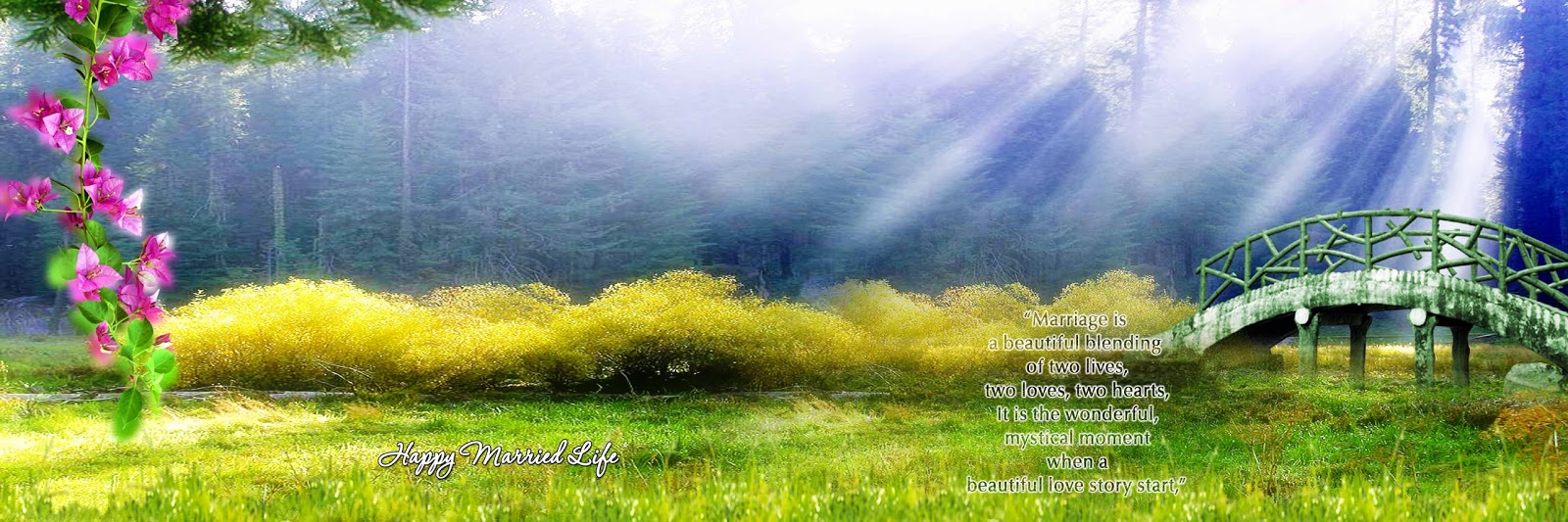 Download 12x36 album PSD File Free Download | naveengfx
