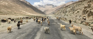 pamir highway m41 map and route options.. Wakhan Bartang Valley - here is an overview