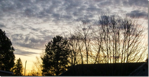 Oktober- November 2011 059