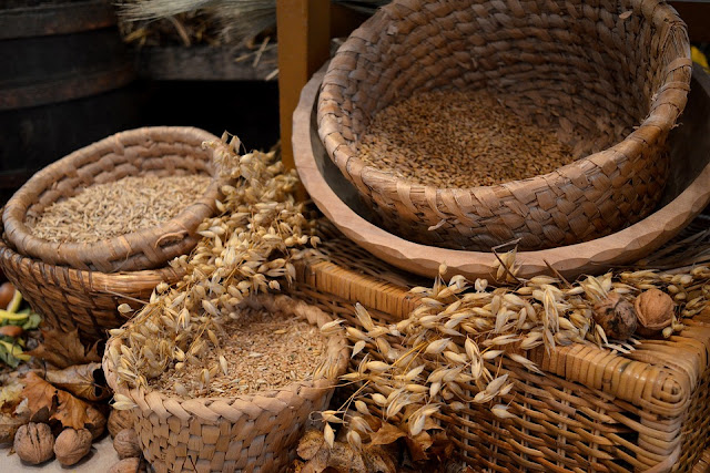 Santa Lucia, la cuccia e la simbologia del grano nel solstizio d'inverno