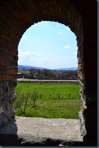 DSC_1861
